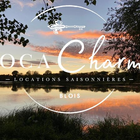 "Gite Le Relais Viennois" Vue Sur Loire & Linge Inclus Blois Dış mekan fotoğraf